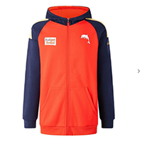 Dolphins 2026 Hoody
