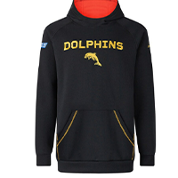 Dolphins 2025 Pullover Hoody      